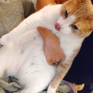 Meet your Posher, Felicity